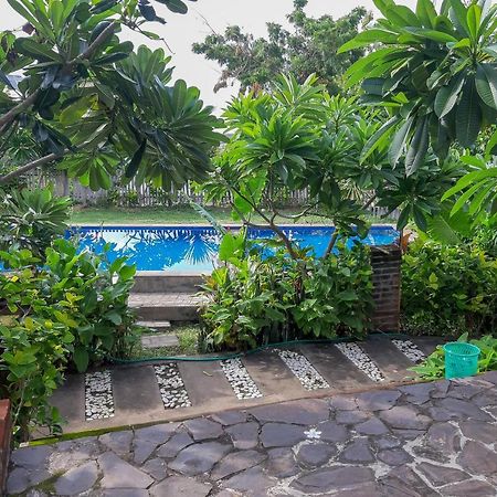 Oyo 3070 Villa Lovina Eco Lodge Bagian luar foto