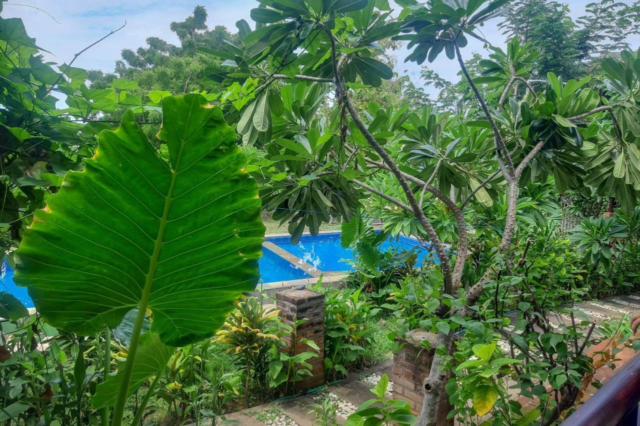 Oyo 3070 Villa Lovina Eco Lodge Bagian luar foto